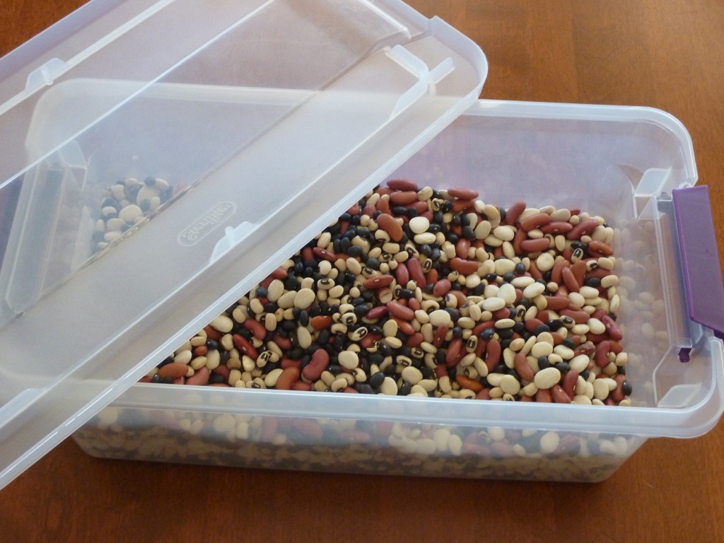 Bean Bin My Obstacle Course Engage, Encourage and Empower